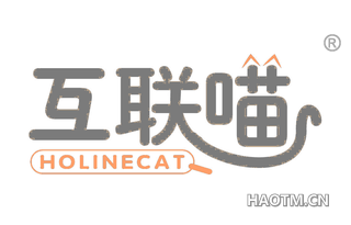 互联喵 HOLINECAT