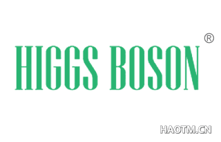 HIGGS BOSON