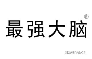 最强大脑