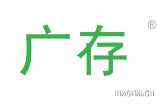 广存 