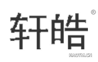 轩皓 