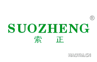 索正