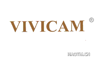 VIVICAM