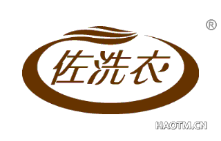 佐洗衣 