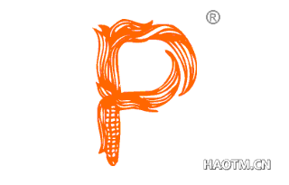 P图形 