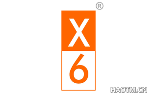 X6