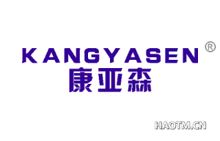 康亚森 