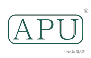 APU