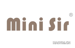 MINI SIR