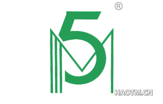 5M