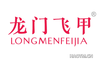 龙门飞甲 