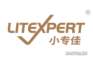 小专佳 LITEXPERT