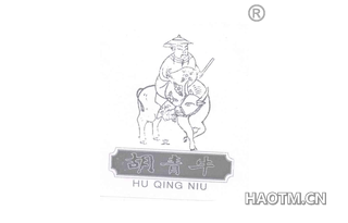 胡青牛 