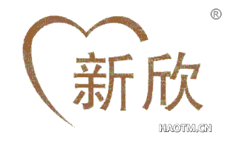 新欣 