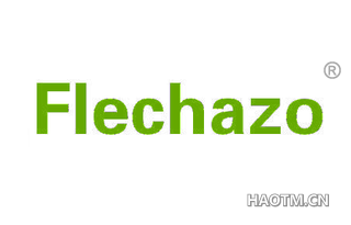 FLECHAZO