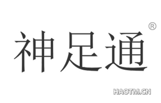 神足通 