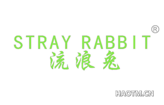 流浪兔 STRAY RABBIT
