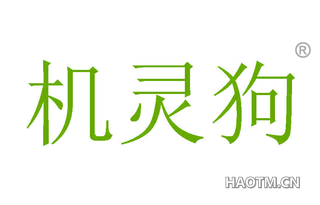 机灵狗 