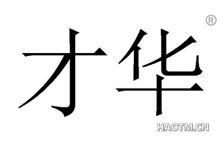 才华 