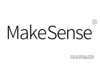 MAKESENSE