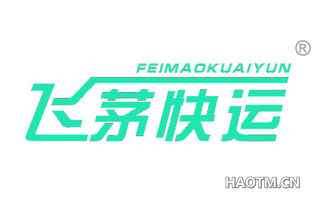 飞茅快运 