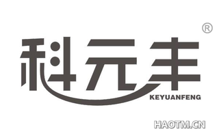 科元丰 