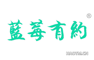 蓝莓有约 
