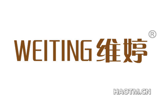 维婷 