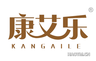 康艾乐 