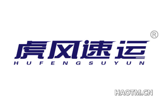虎风速运 