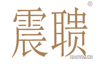 震聩 