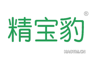 精宝豹 