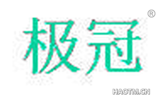 极冠 
