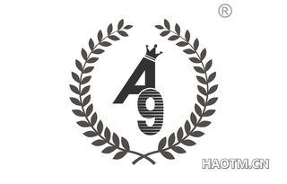 A9图形 