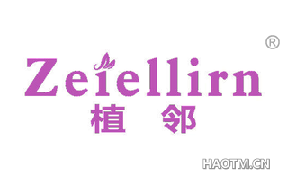 植邻 ZEIELLIRN