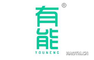 有能 