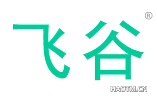 飞谷 