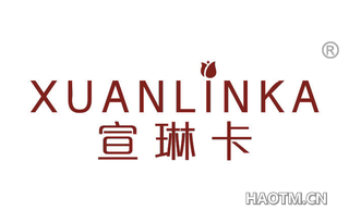 宣琳卡 