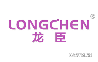 龙臣 