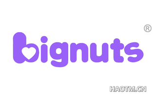BIGNUTS