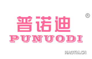 普诺迪 