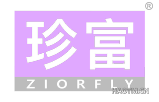 珍富 ZIORFLY