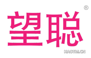 望聪 
