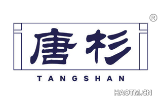 唐杉 