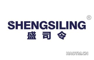 盛司令 