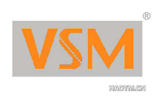 VSM