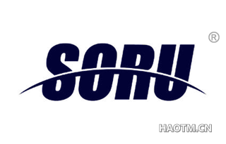 SORU
