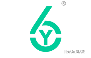 6 Y