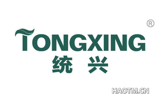 统兴 