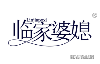 临家婆媳 